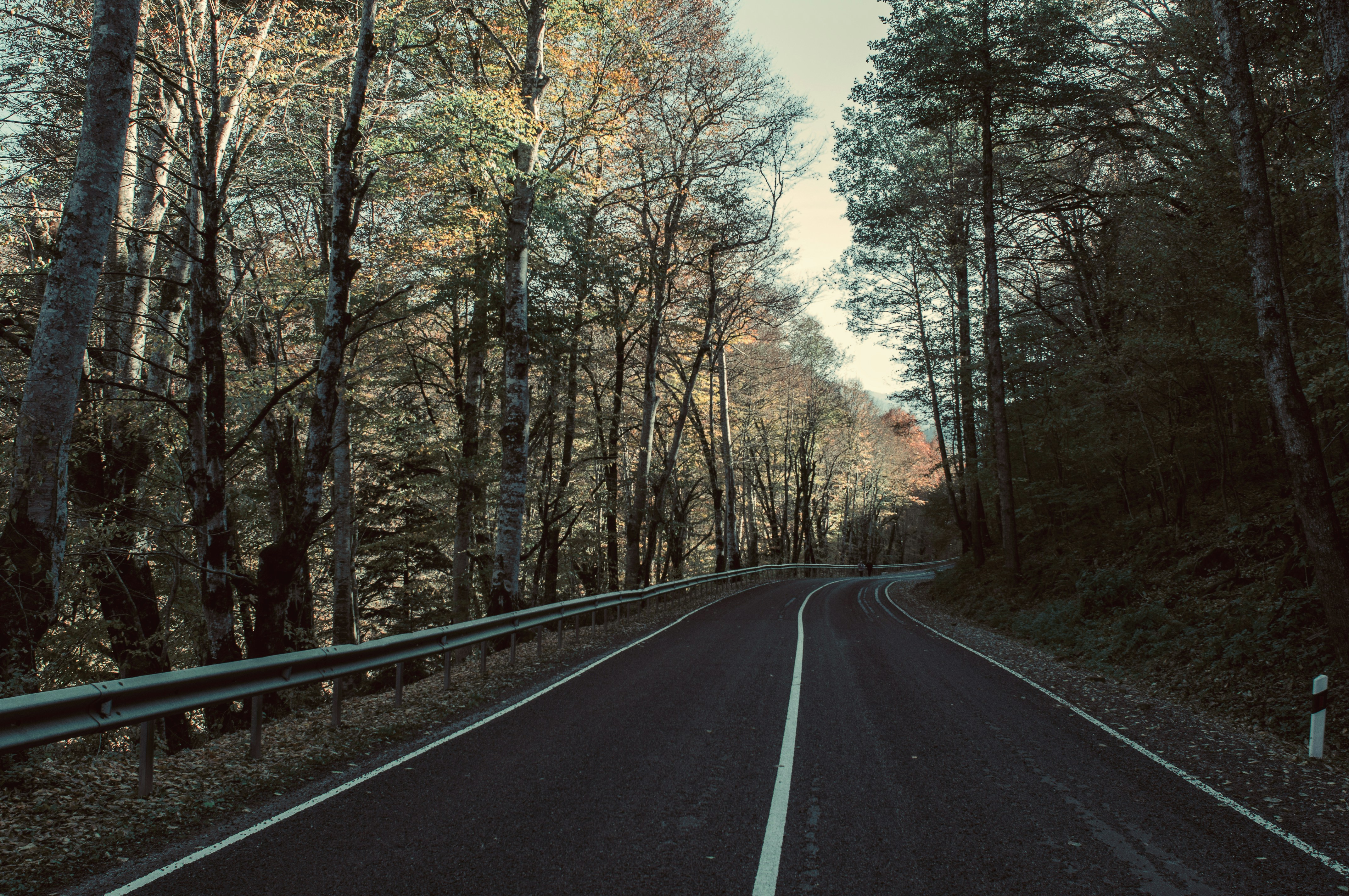 Free Unsplash photo from Sergey Bakhvalov