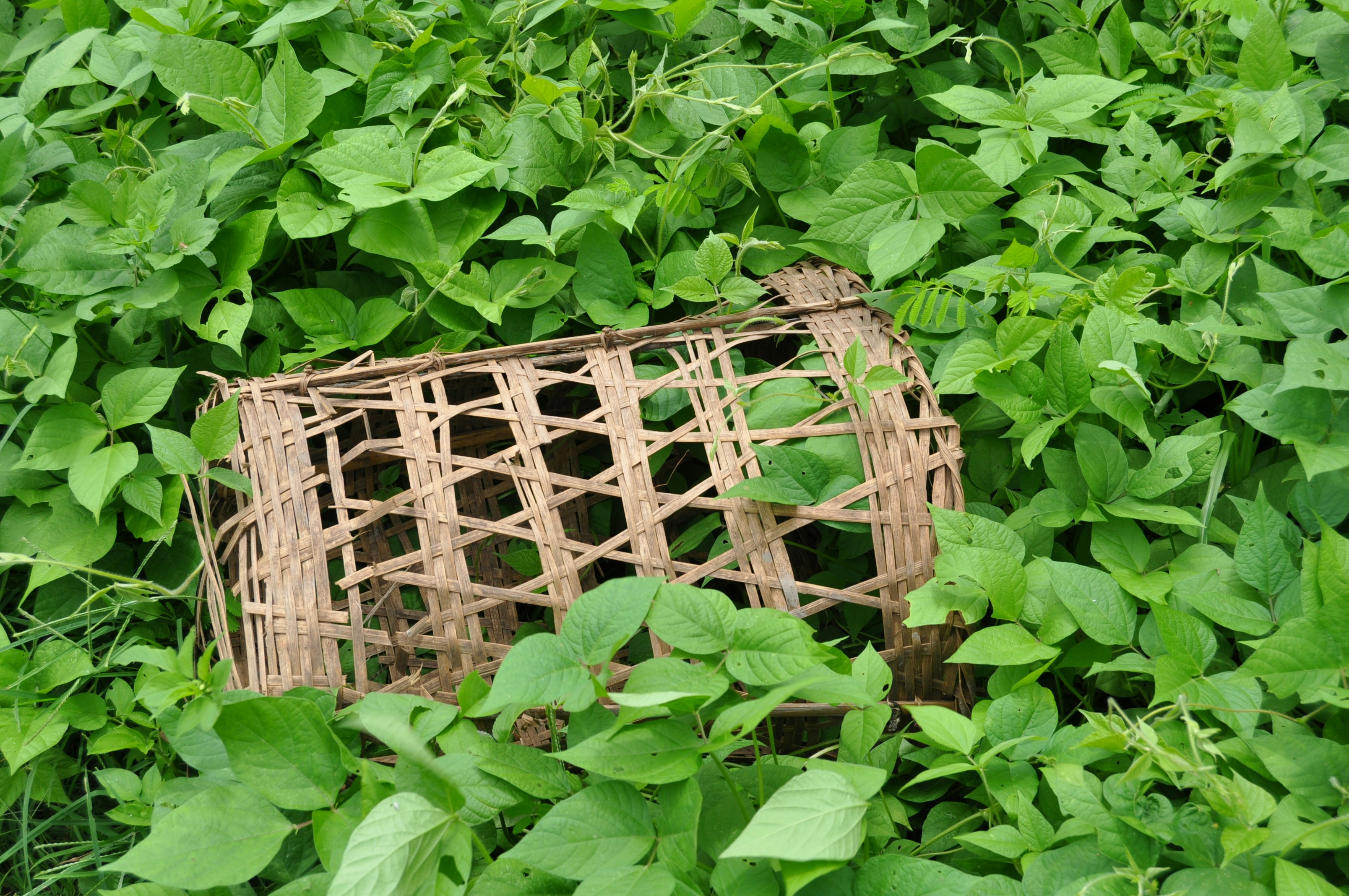 Free Unsplash photo from Greg Bilsland