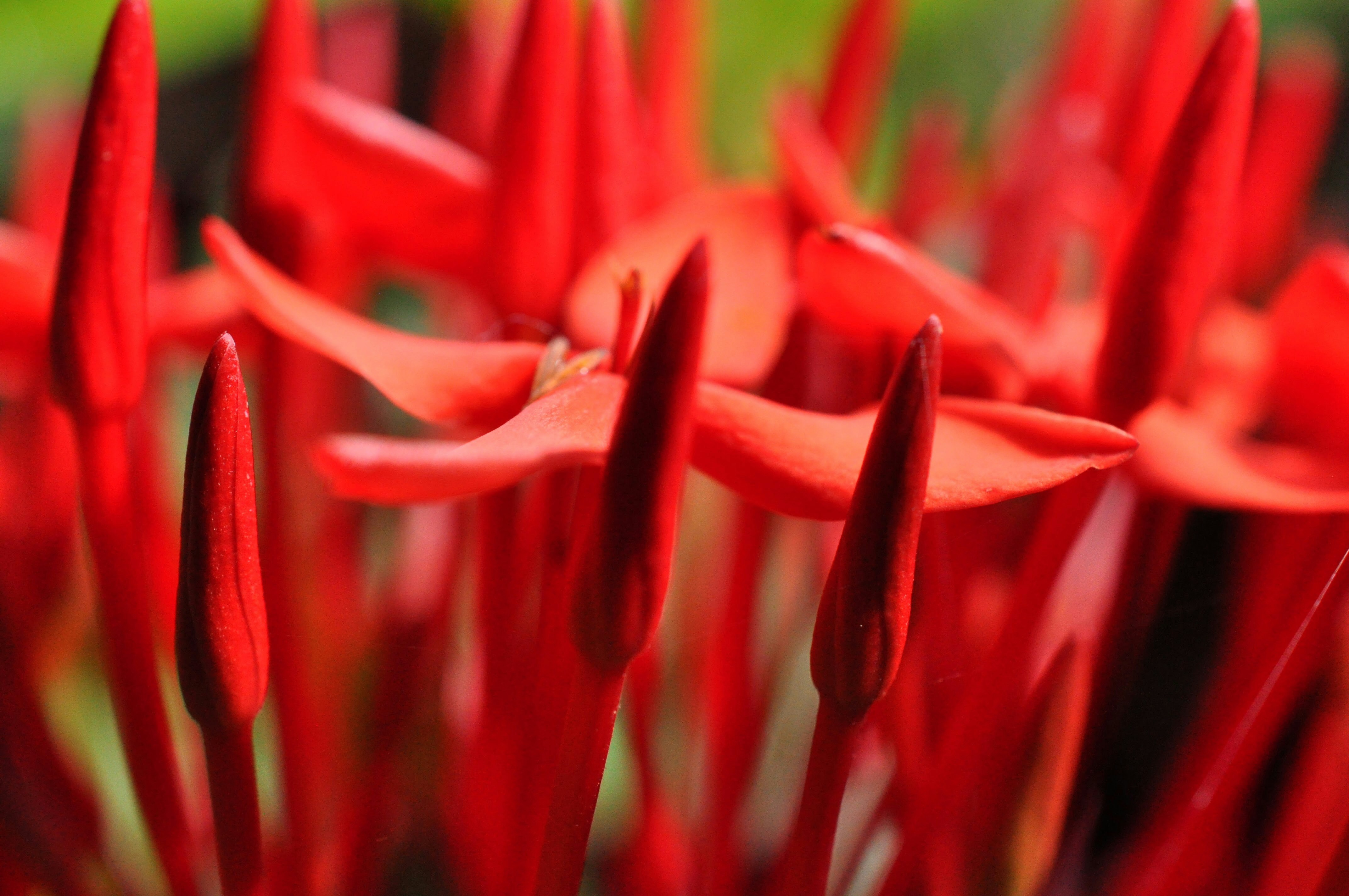 Free Unsplash photo from Greg Bilsland