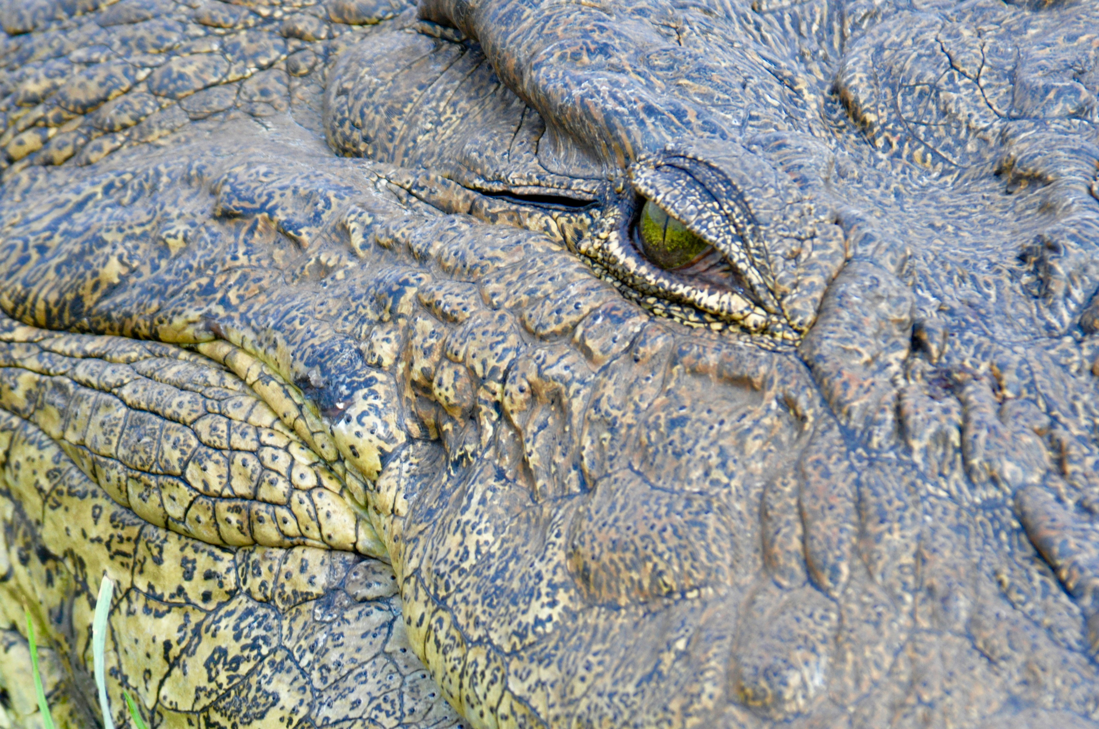 Free Unsplash photo from Greg Bilsland