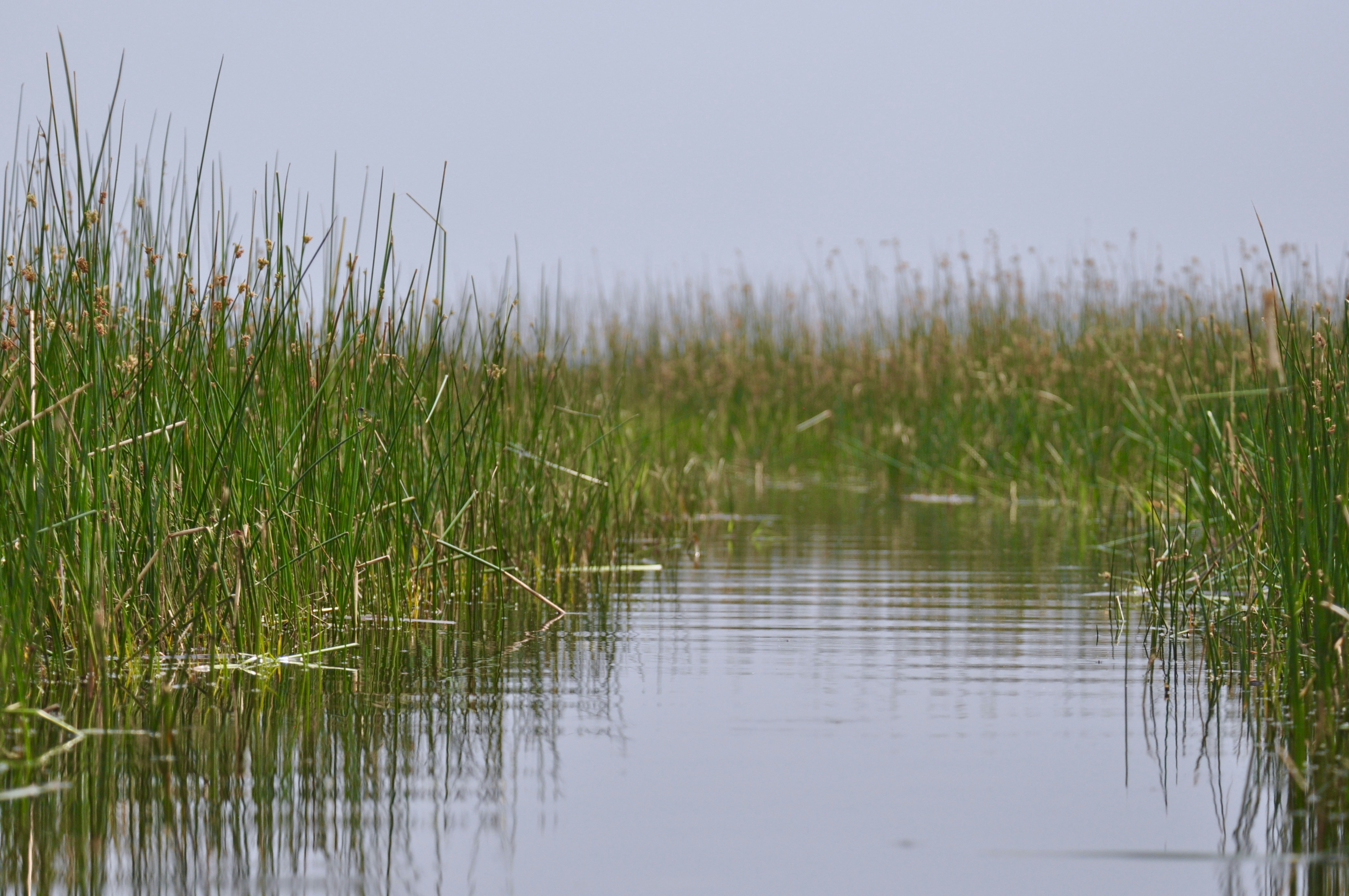 Free Unsplash photo from Greg Bilsland