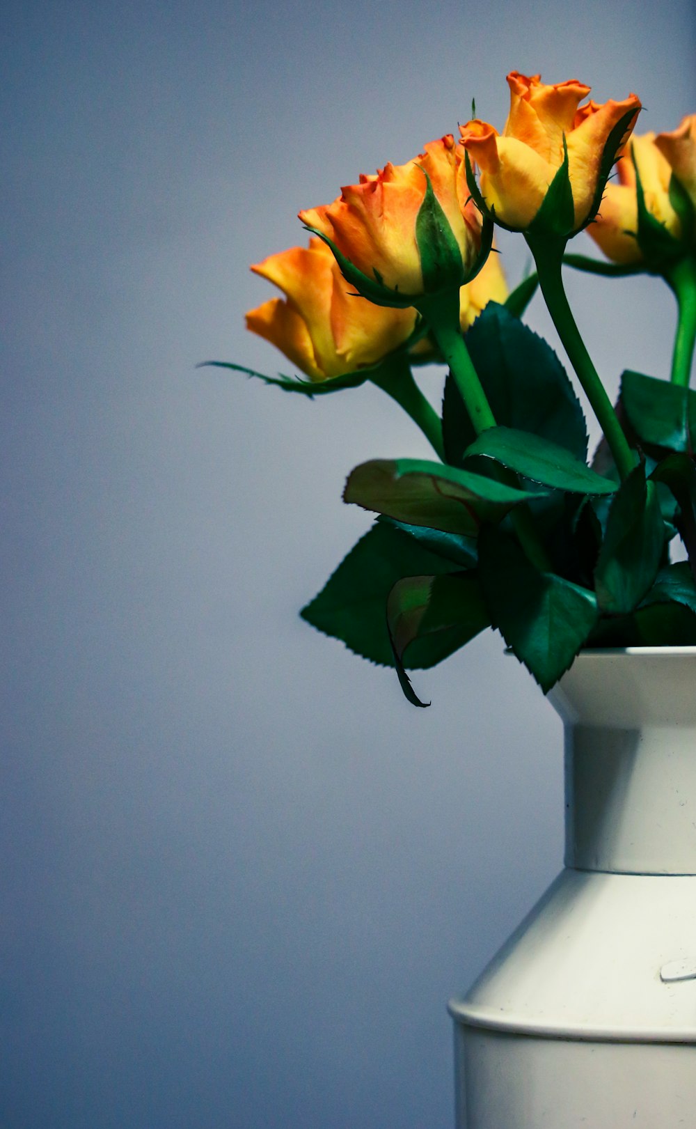 花瓶に飾られた黄色、赤、緑の花