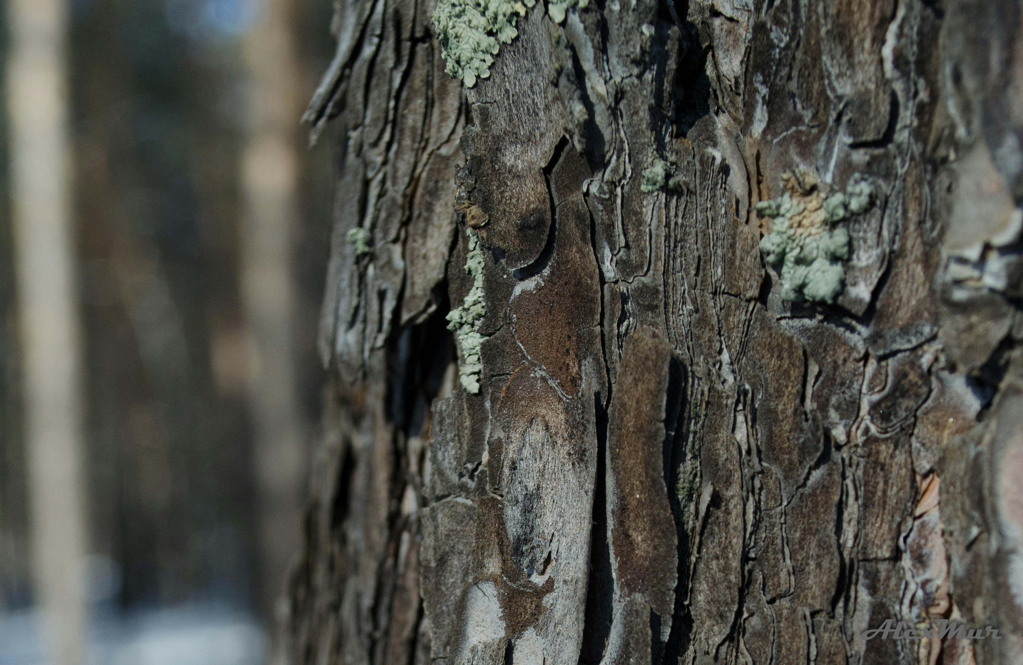 Free Unsplash photo from Алекс Муранов