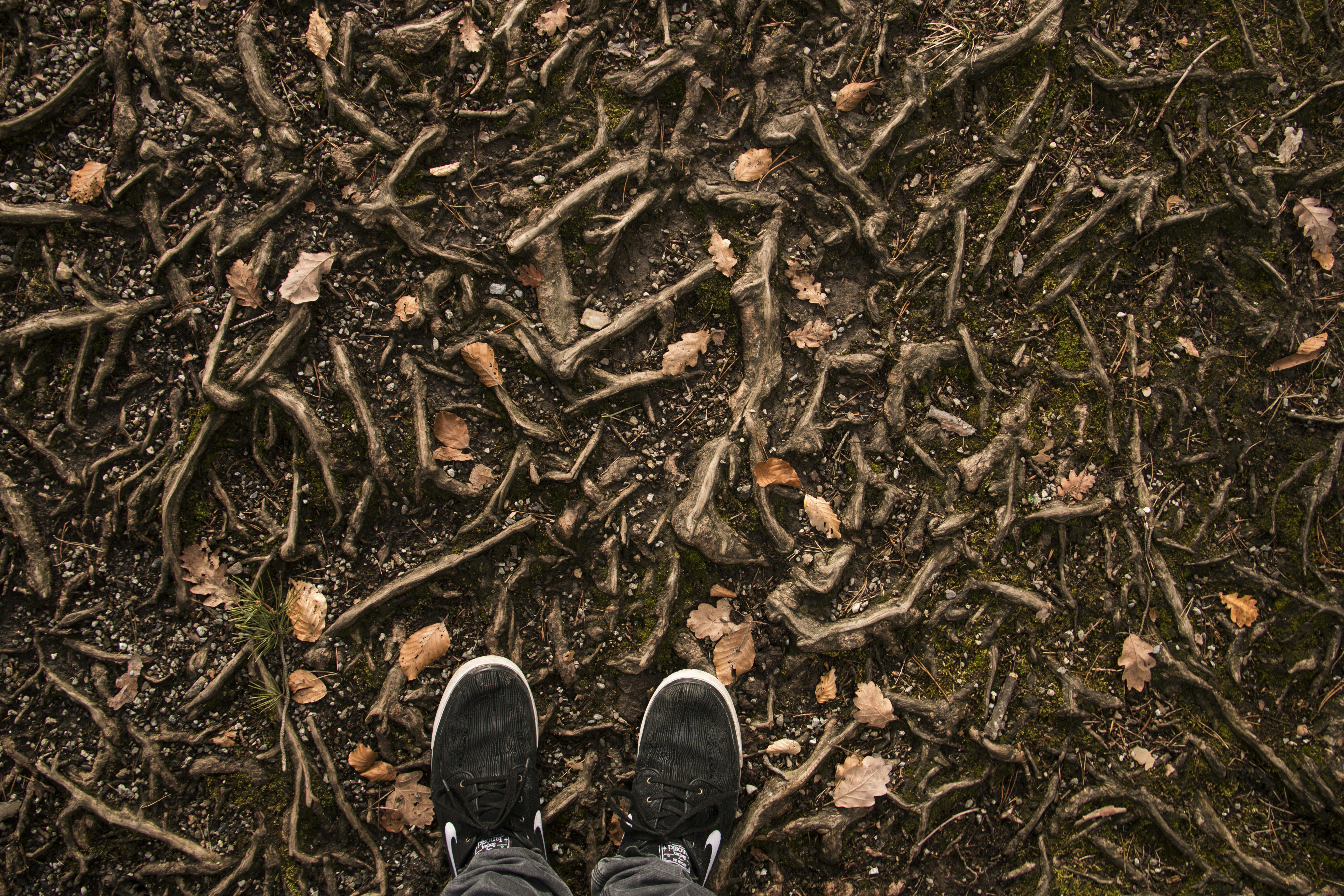 Free Unsplash photo from Sandro Schmocker