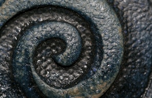 An artistic representation of the Fibonacci spiral in nature