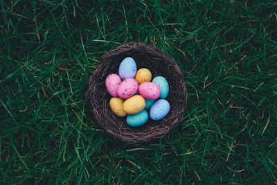 easter eggs on brown nest easter egg google meet background