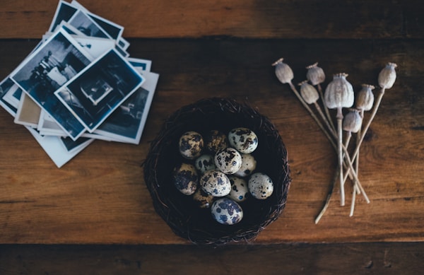 White-and-black quail eggs on brown wicker bowl