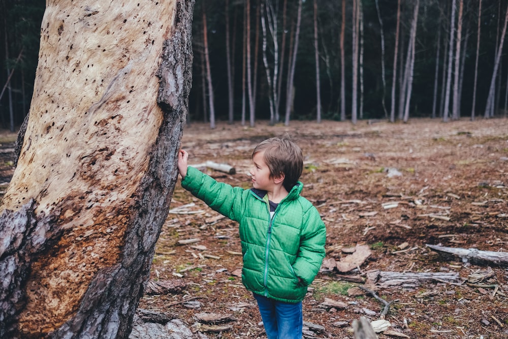 木の幹を握る緑のバブルジップアップジャケットを着た男の子