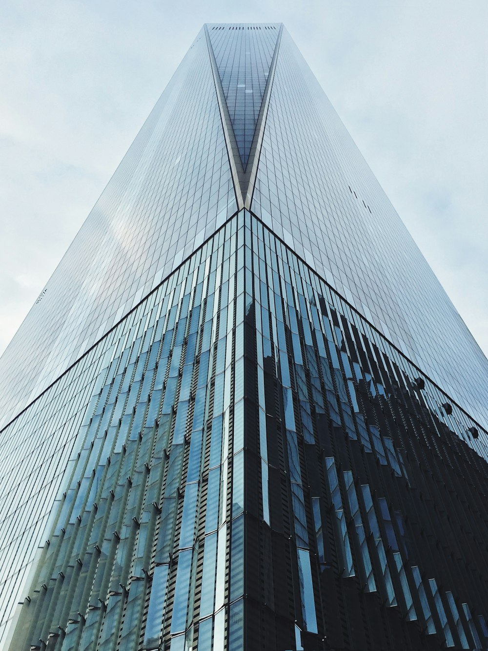 Vue de l’immeuble par les vers