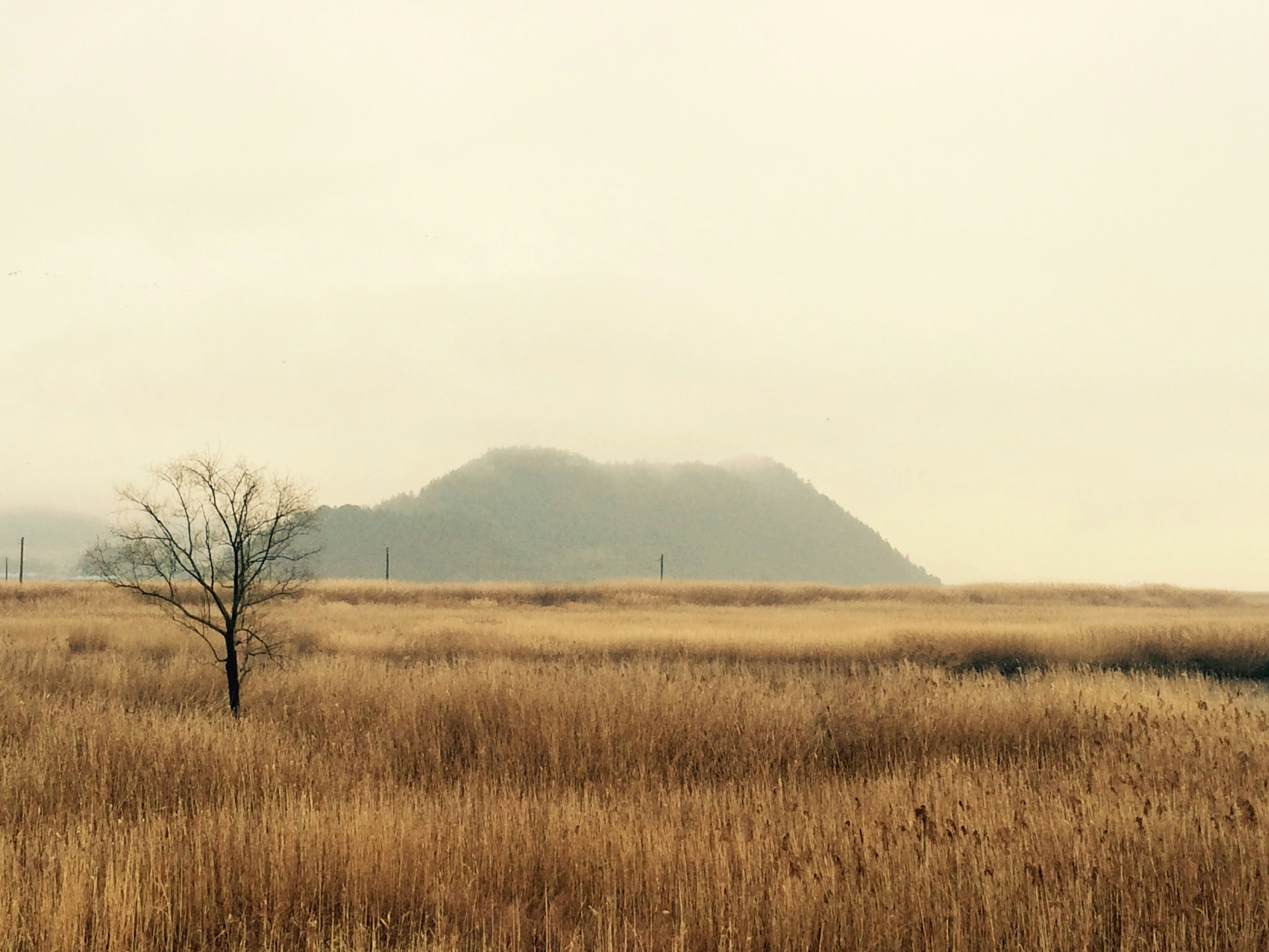 Free Unsplash photo from Ki Seok Choi