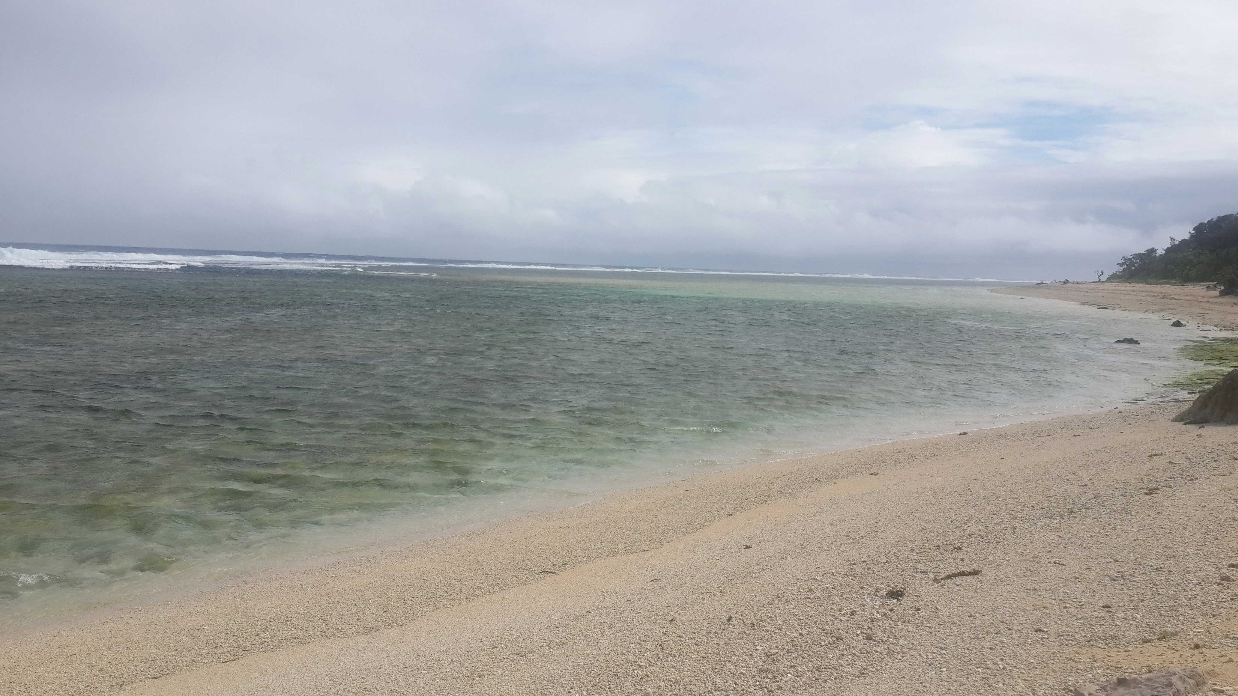 Free Unsplash photo from Vladimir Samsonov