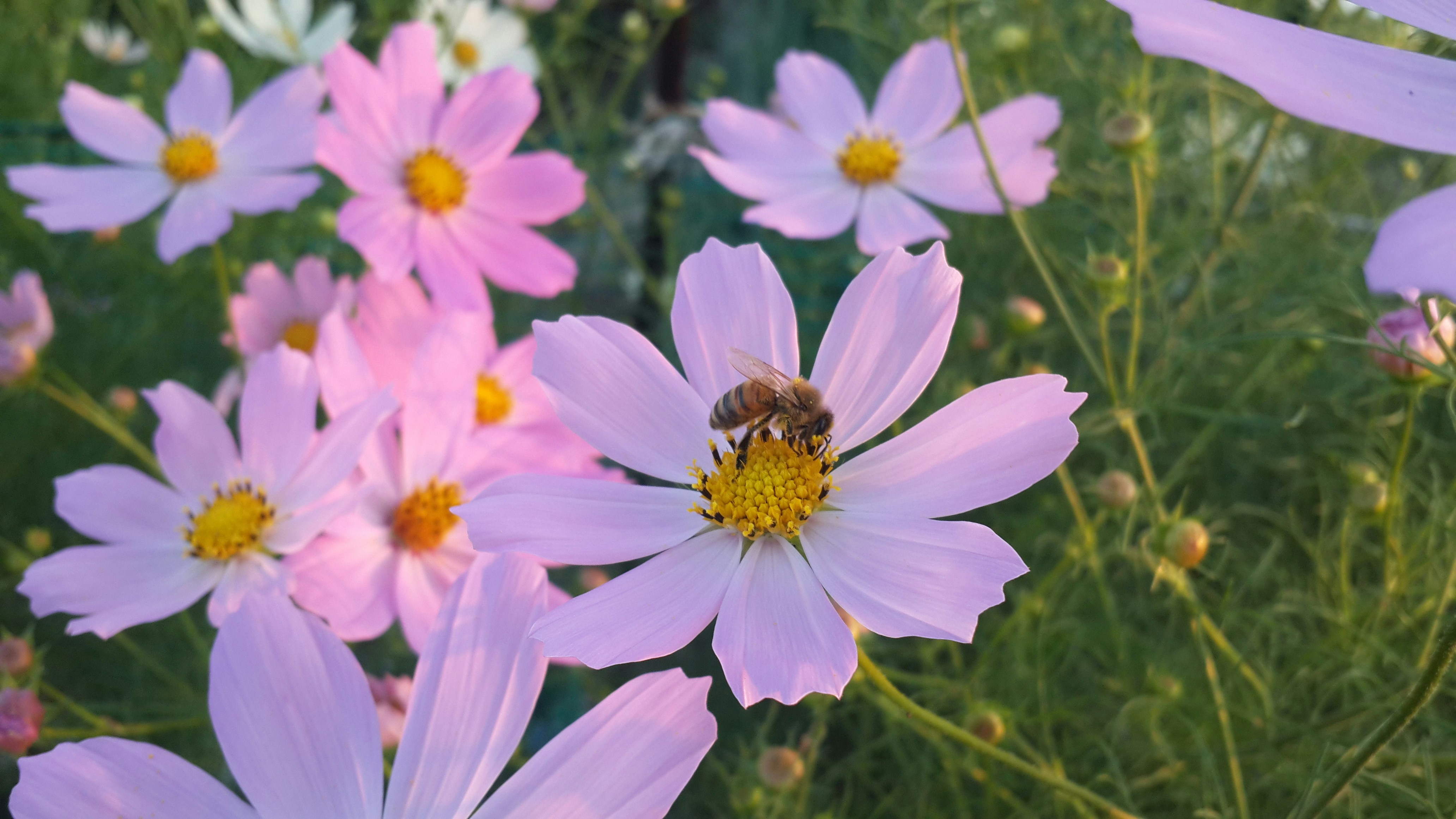 Free Unsplash photo from Vladimir Samsonov