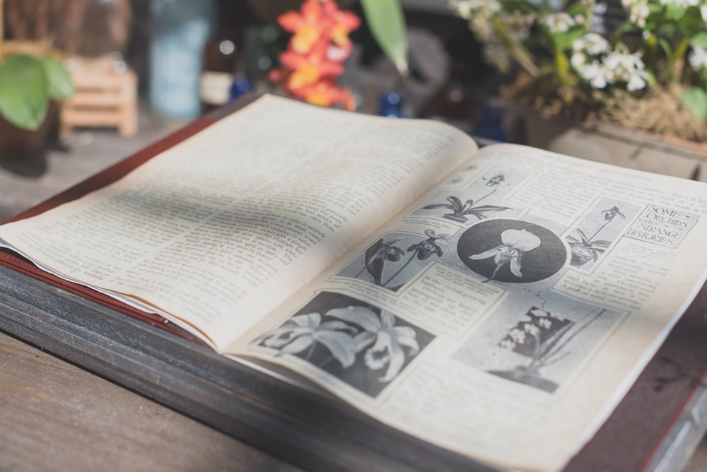 opened flower book on table