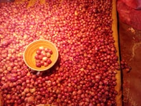 A large number of red onions are spread out on a surface, with an orange bowl containing some onions placed towards the left side. The onions have a shiny appearance due to lighting, and there is a red mesh bag on the upper right corner.