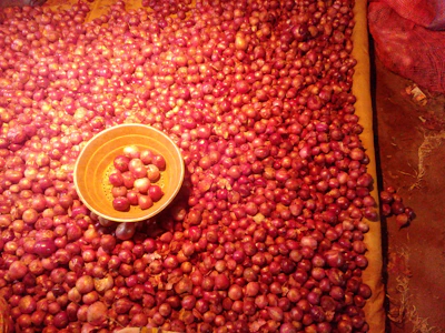 Workers sorting the shiny red onions at Vikram Exports facility in Shrirampur.