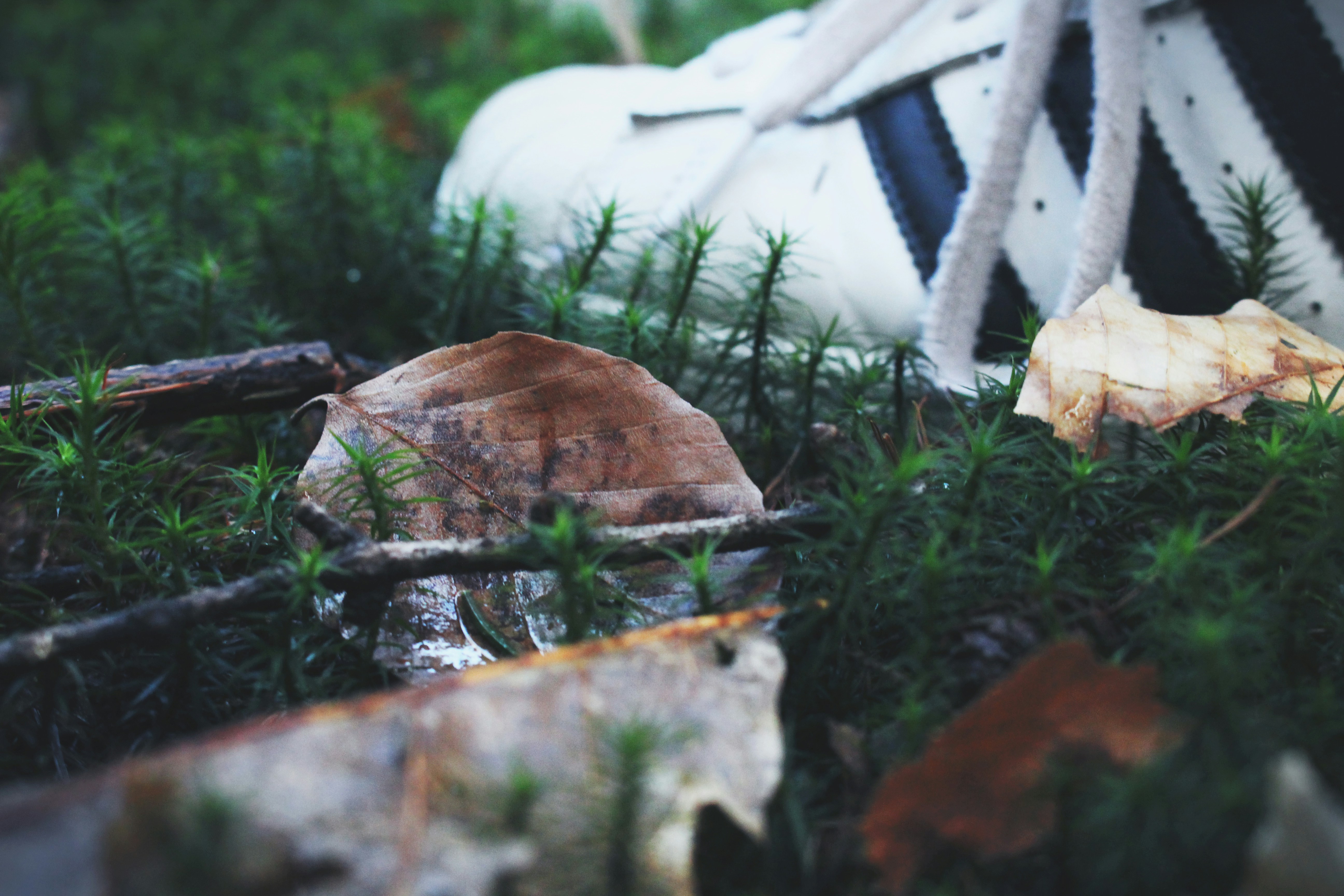 Free Unsplash photo from Daniel Knegt