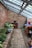 A narrow brick walkway leads through a greenhouse-like space with slanted glass roof panels. On the left, a raised brick planter holds various green plants, while a watering can is nearby. A red cabinet and a black pot are at the far end against a weathered brick wall. On the right, a wooden table is cluttered with various gardening tools, pots, and containers. The atmosphere is rustic and peaceful.