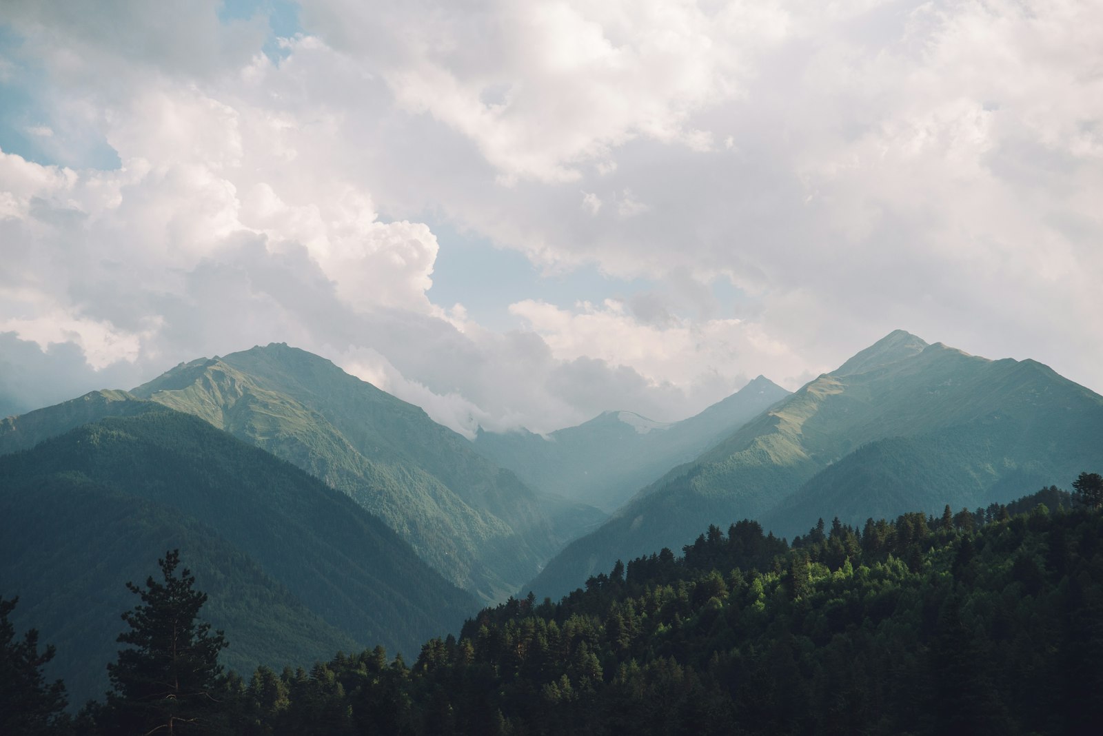 Nikon D610 + Nikon AF-S DX Nikkor 17-55mm F2.8G ED-IF sample photo. Forest near mountain during photography