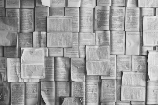 整然と本が並ぶ図書館の書架