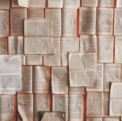 open book lot