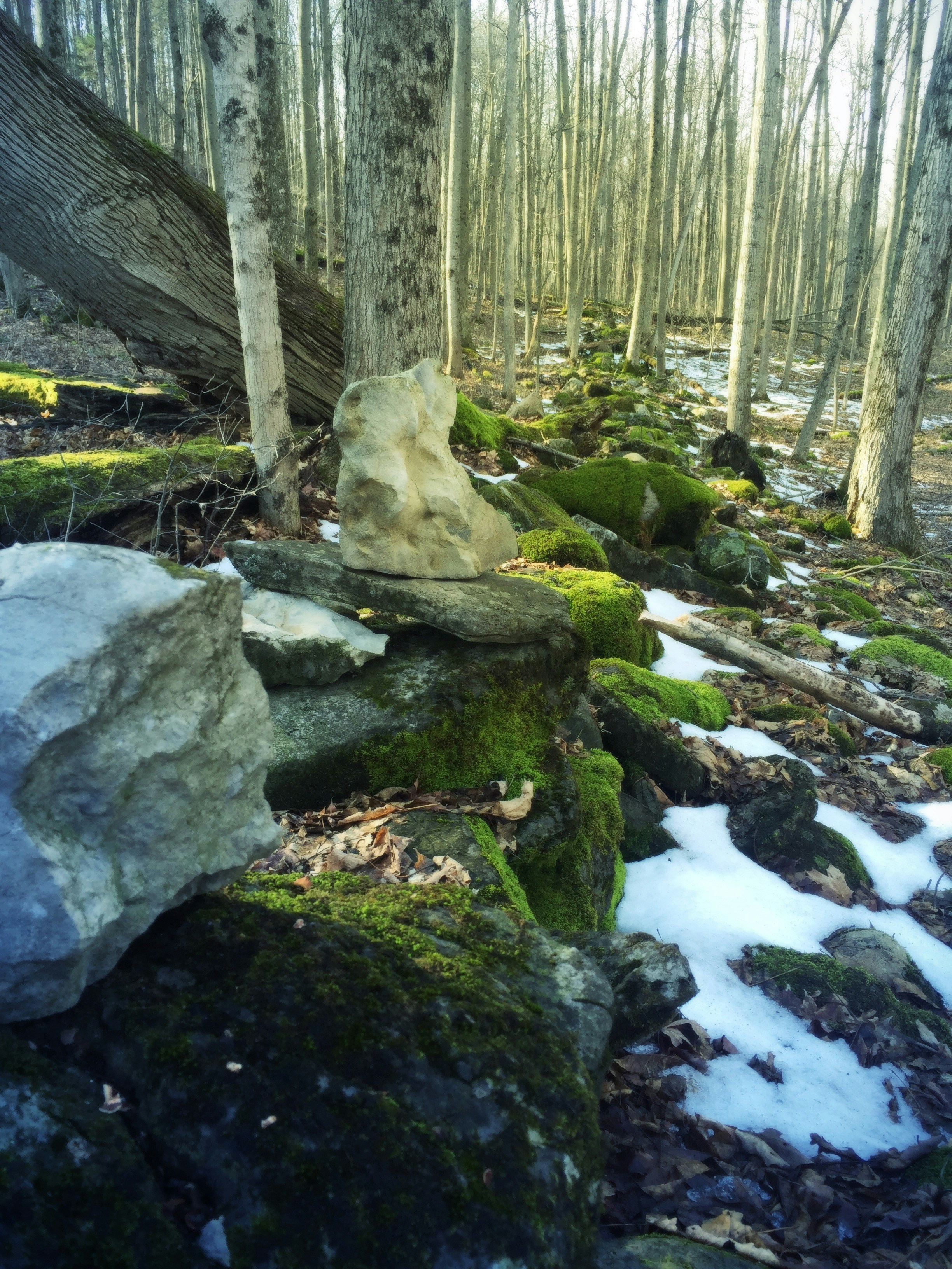 Free Unsplash photo from Melissa Scala