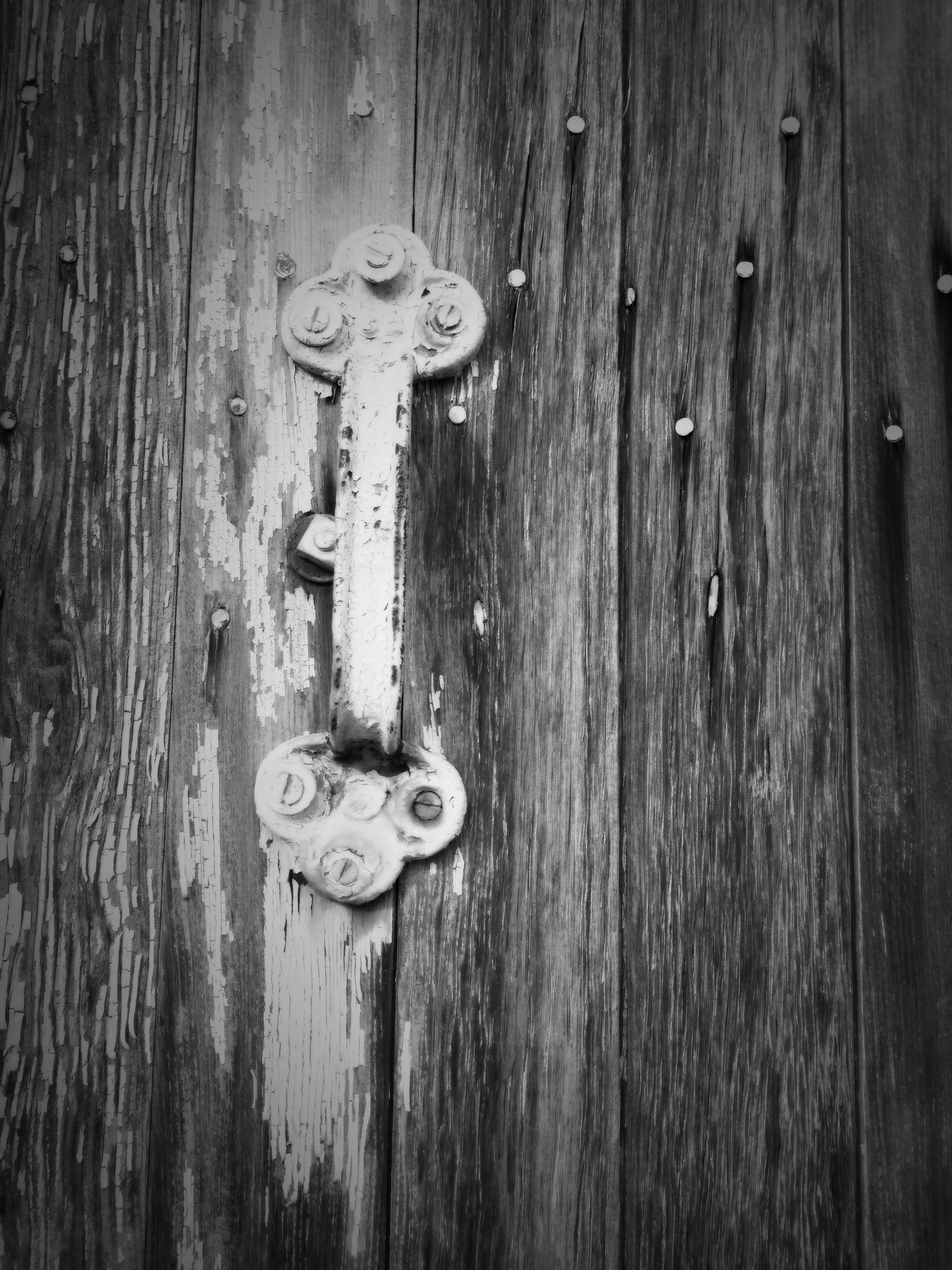 Free Unsplash photo from Melissa Scala