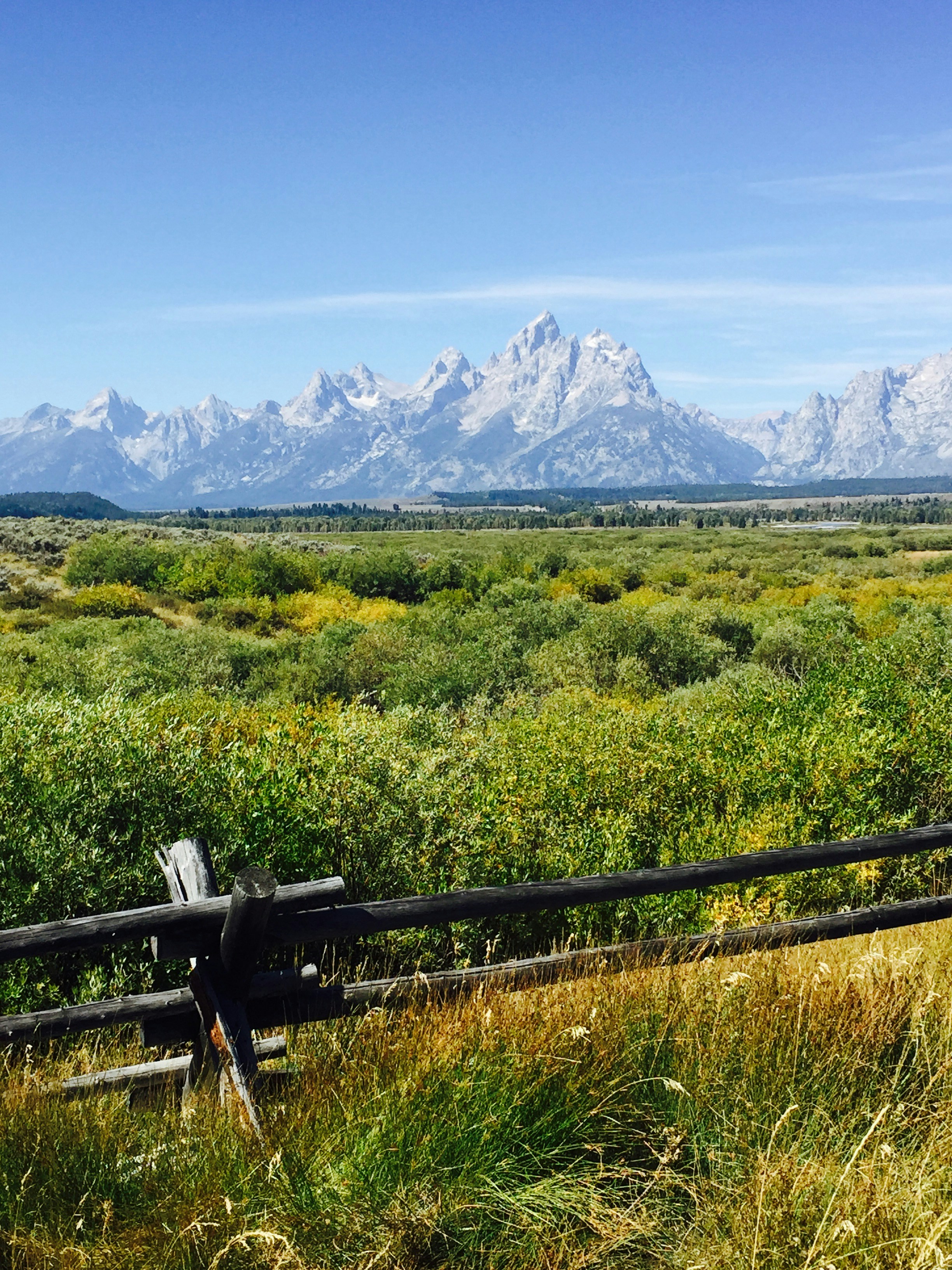 Free Unsplash photo from Melissa Scala