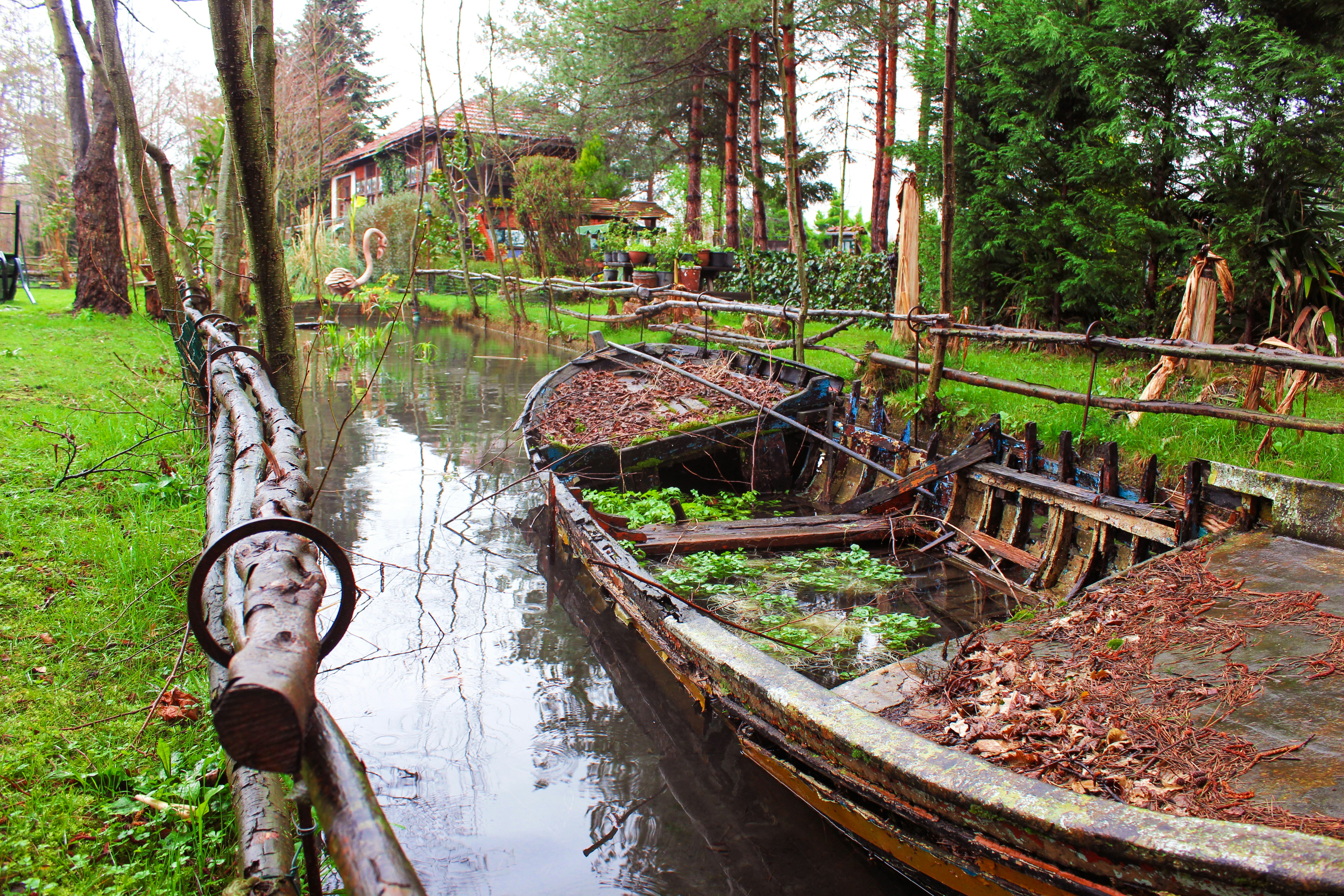 Free Unsplash photo from Aktan Akmese