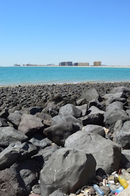 A rocky shoreline with large, dark boulders in the foreground and clear blue water stretching to the horizon. In the distance, a cityscape with multiple high-rise buildings is visible. Some litter, including plastic bottles, can be seen among the rocks.