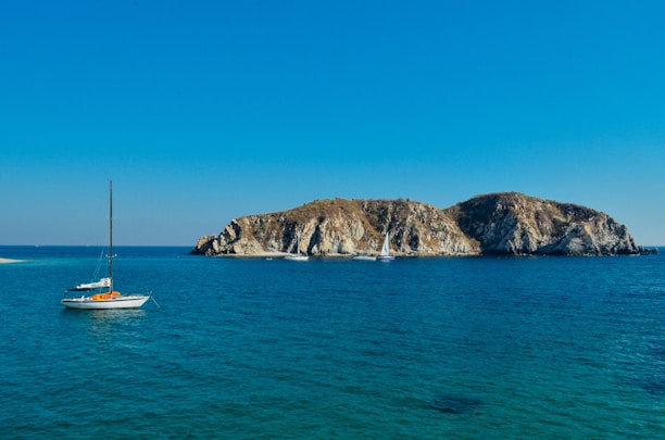 A serene ocean view showcasing sailing boats under clear skies.