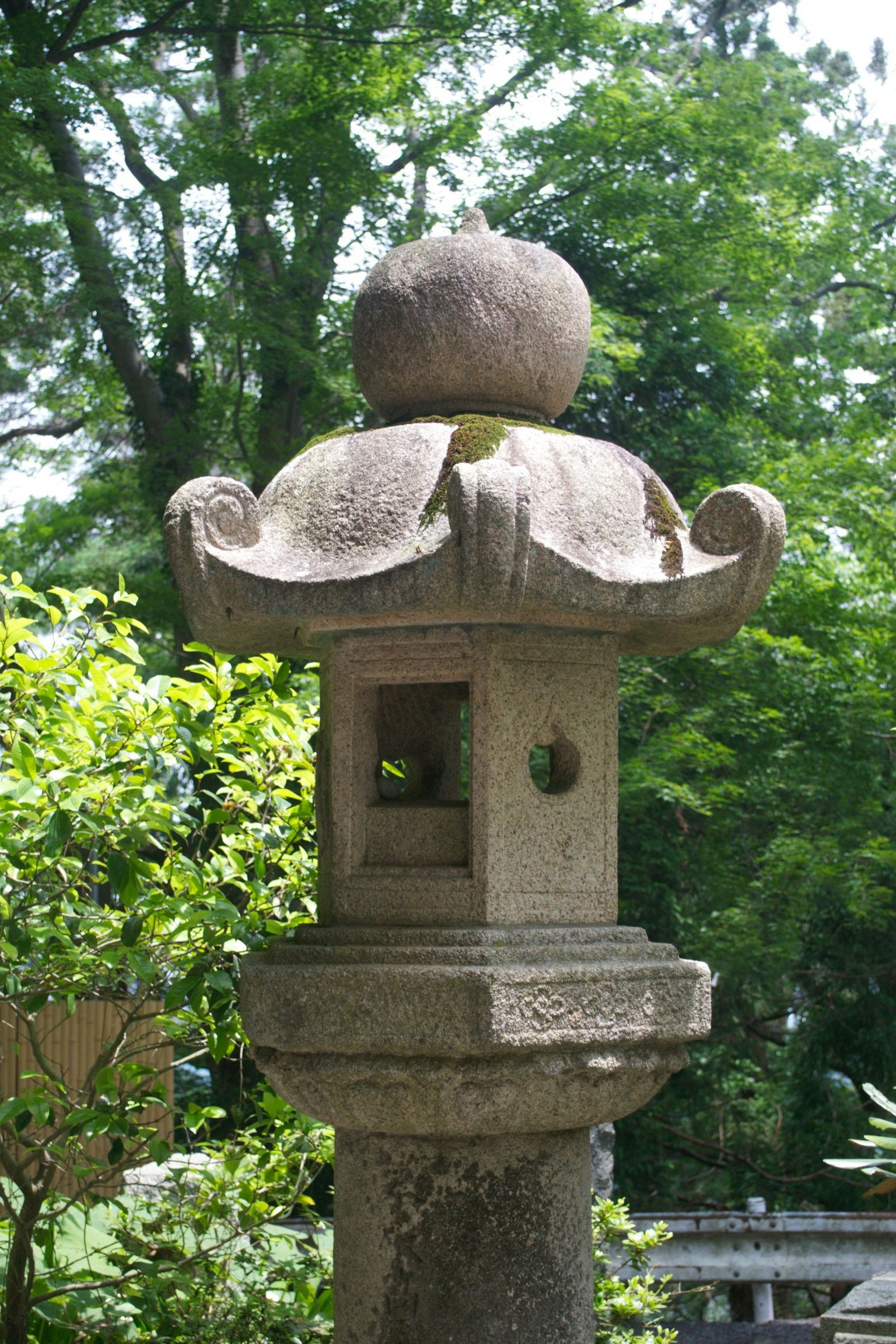 Free Unsplash photo from William Felker