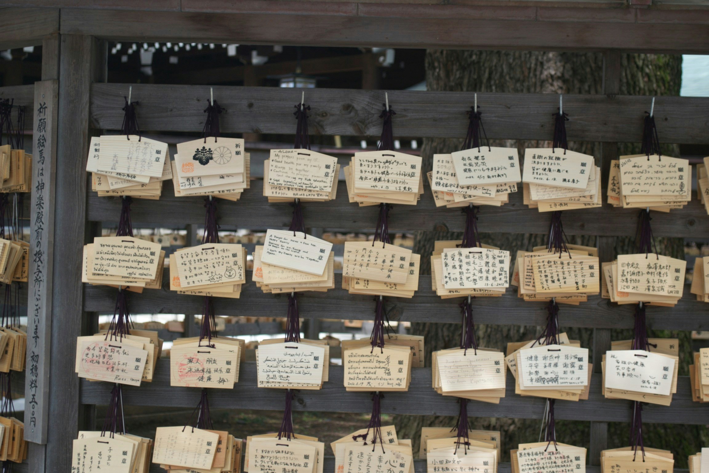 Free Unsplash photo from William Felker