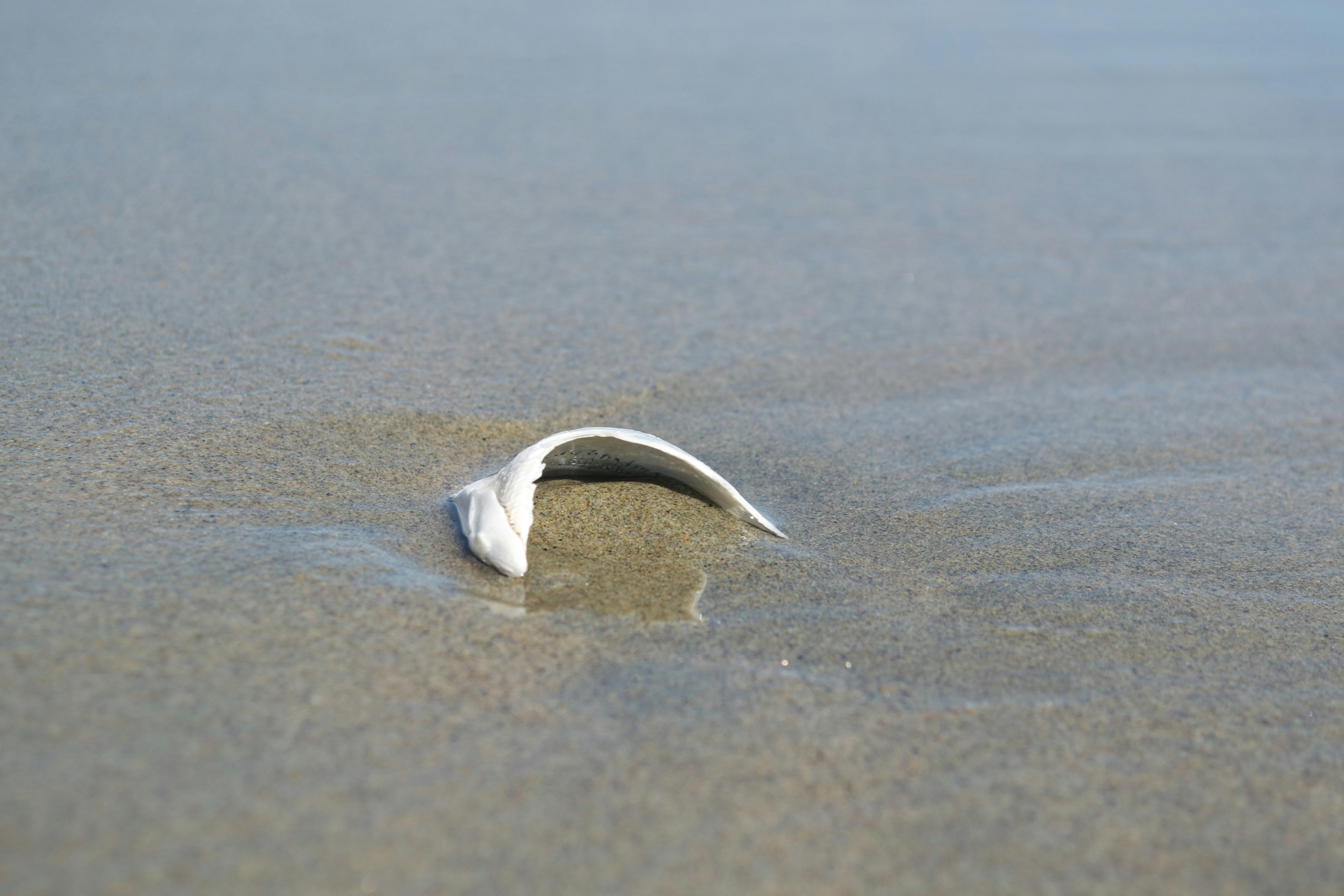 Free Unsplash photo from William Felker