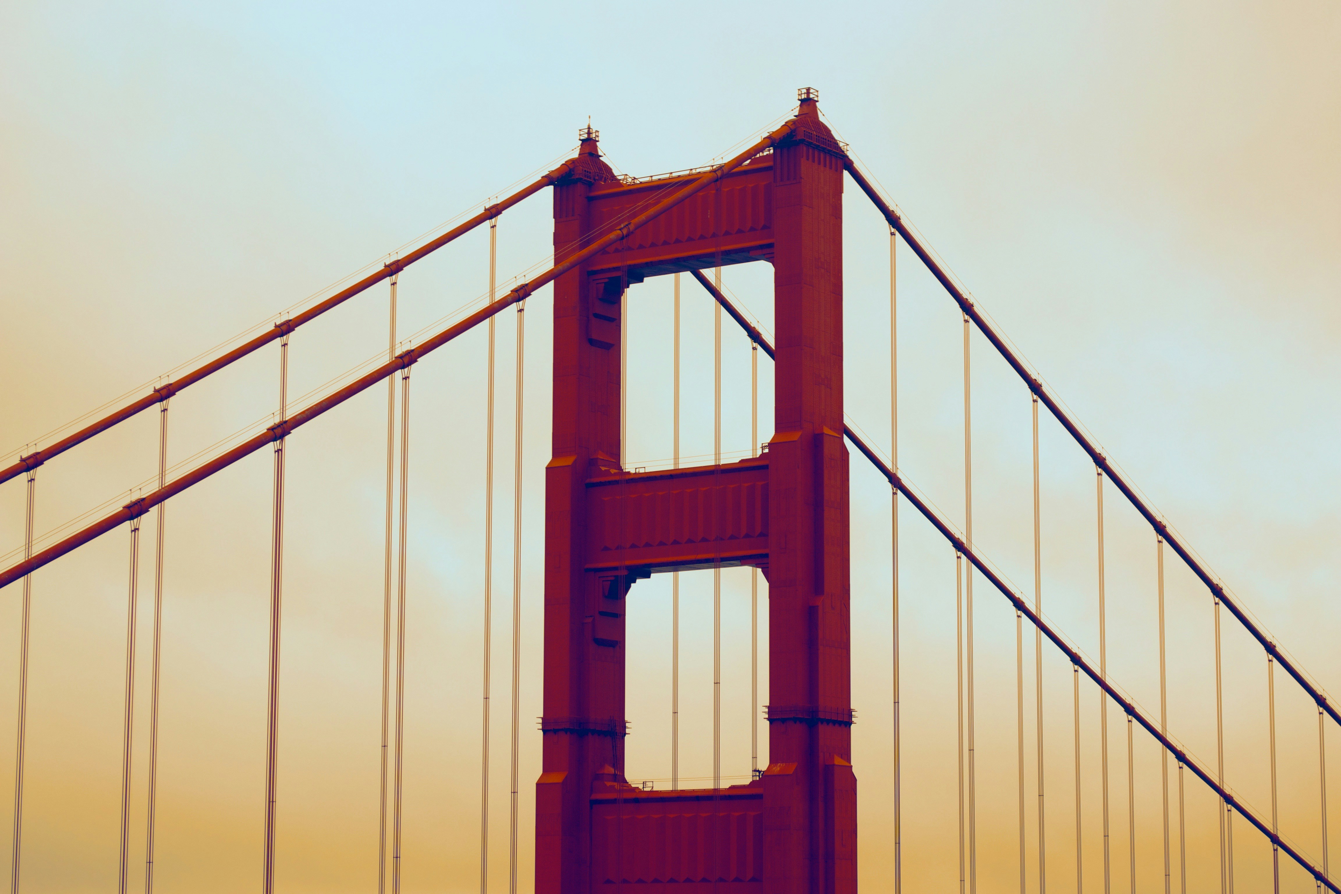 Free Unsplash photo from William Felker