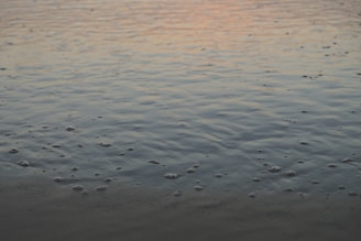 A serene hyperbaric chamber room bathed in soft blue lighting reflecting ocean waves.