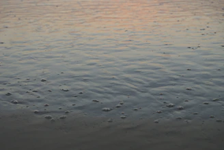 Close-up of gently rippling saltwater inside a float pod illuminated by soft ambient light.