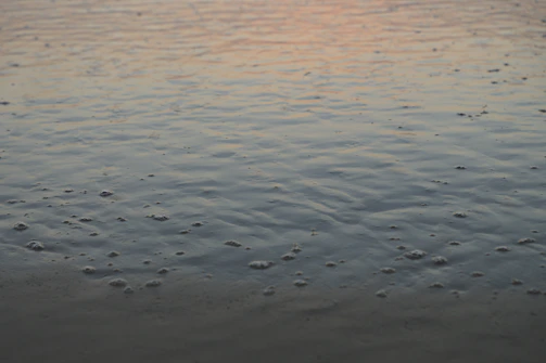 Close-up of gently rippling saltwater inside a float pod illuminated by soft ambient light.