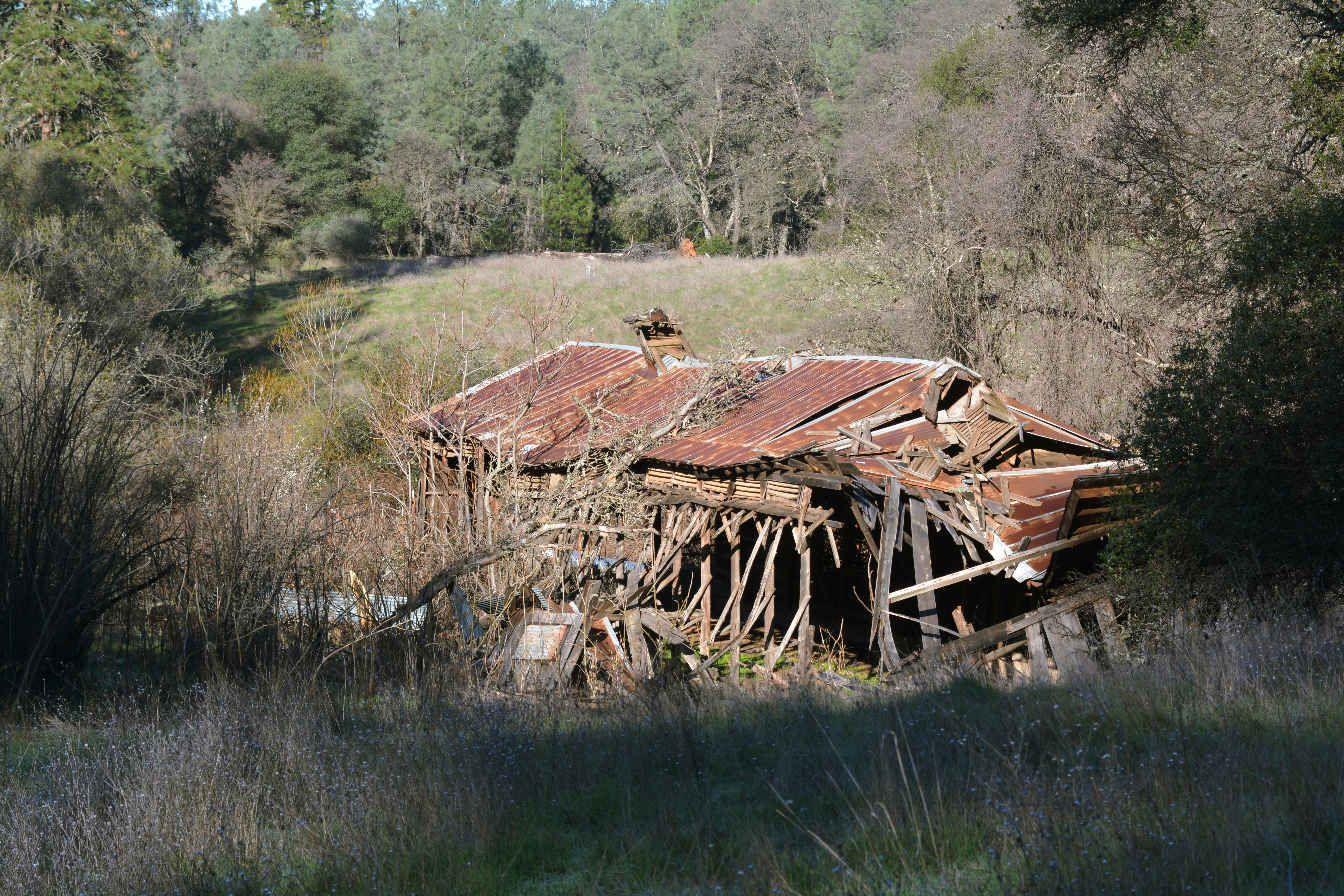 Photo By Jenna Beekhuis