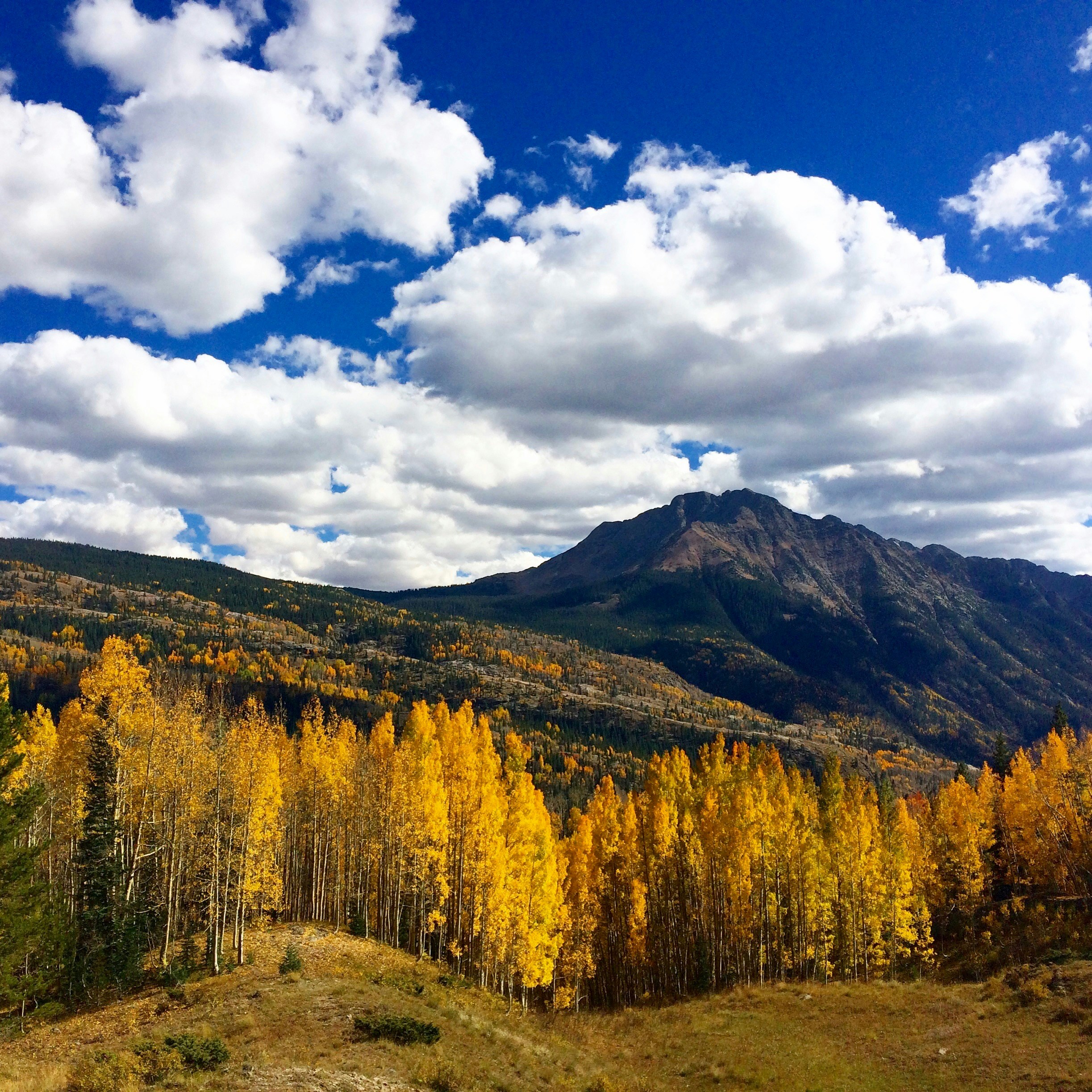 Free Unsplash photo from Ian Lowell