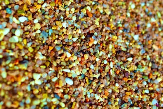 A close-up view of various small, colorful pebbles and grains of sand with different shapes and textures. The image captures the intricate details and the vibrant mixture of colors ranging from browns and blues to yellows and whites.