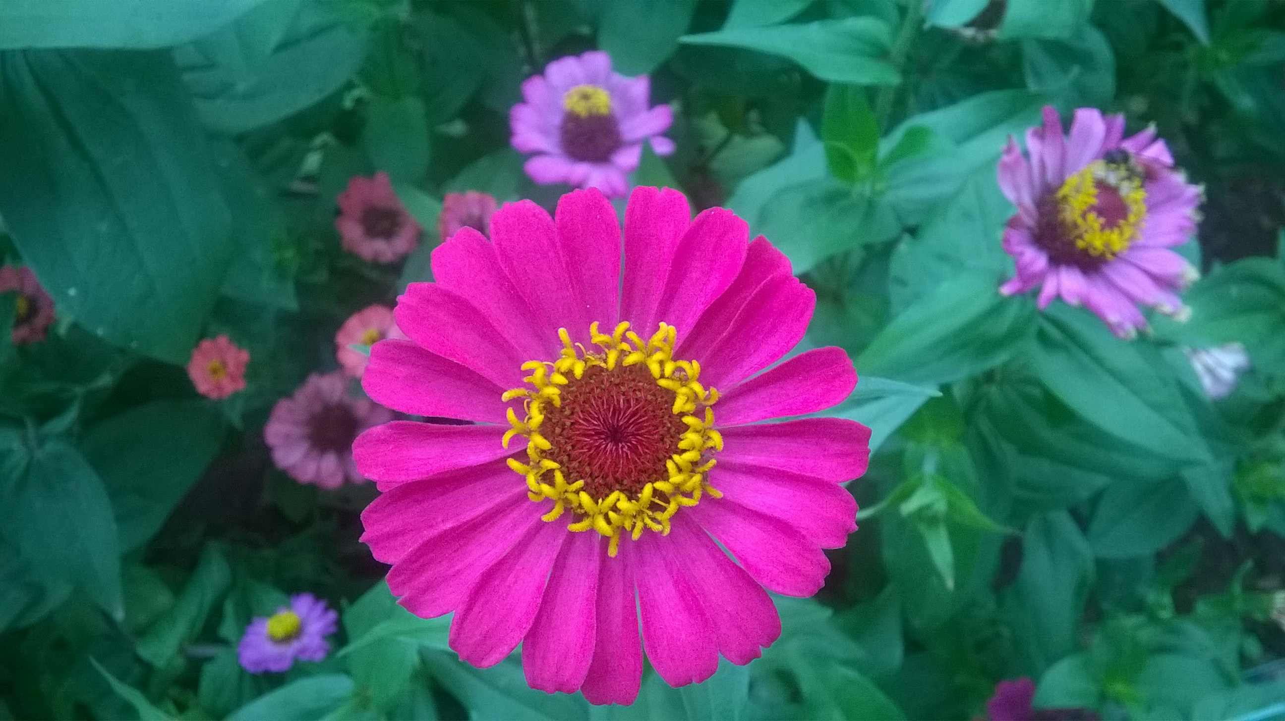 Free Unsplash photo from Sabareesh Sabu