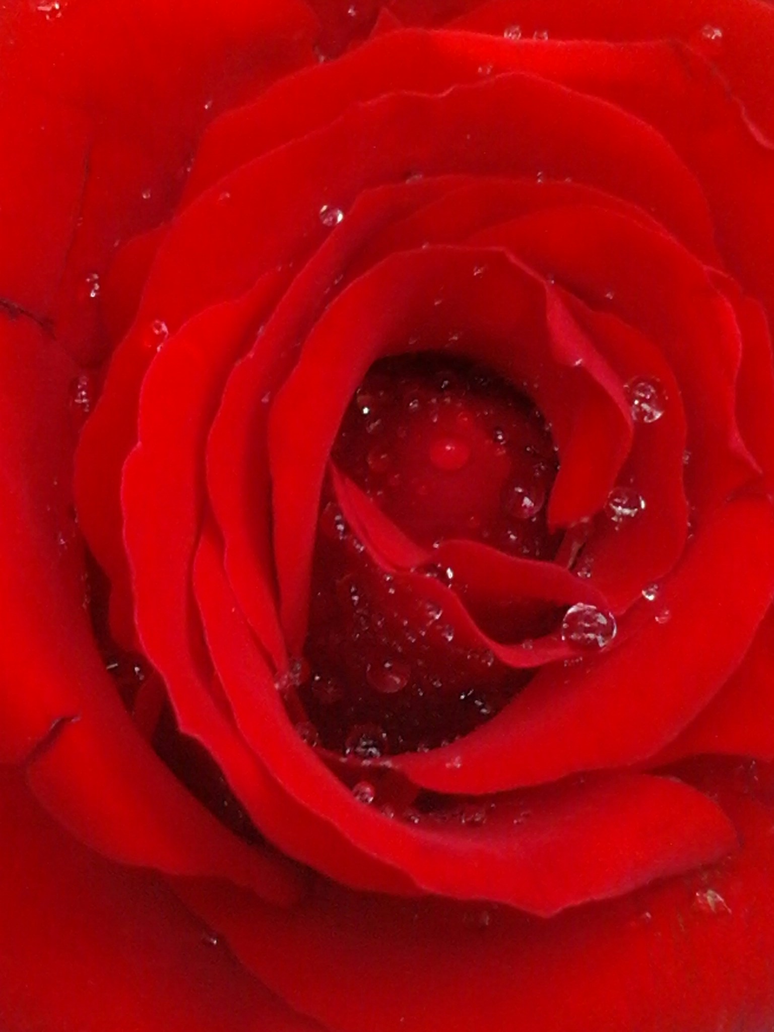 Free Unsplash photo from Sabareesh Sabu