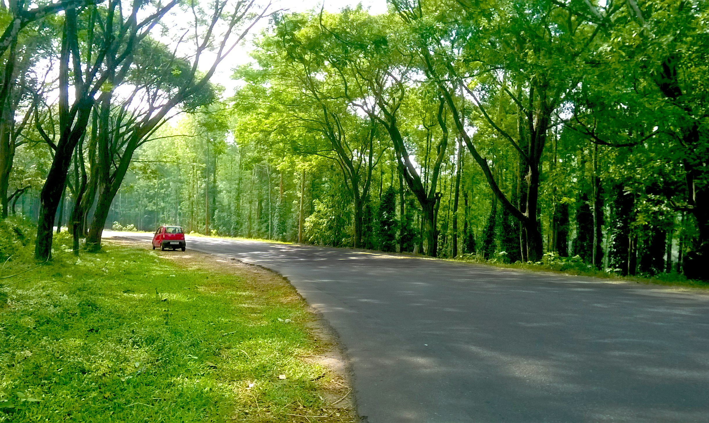 Free Unsplash photo from Sabareesh Sabu