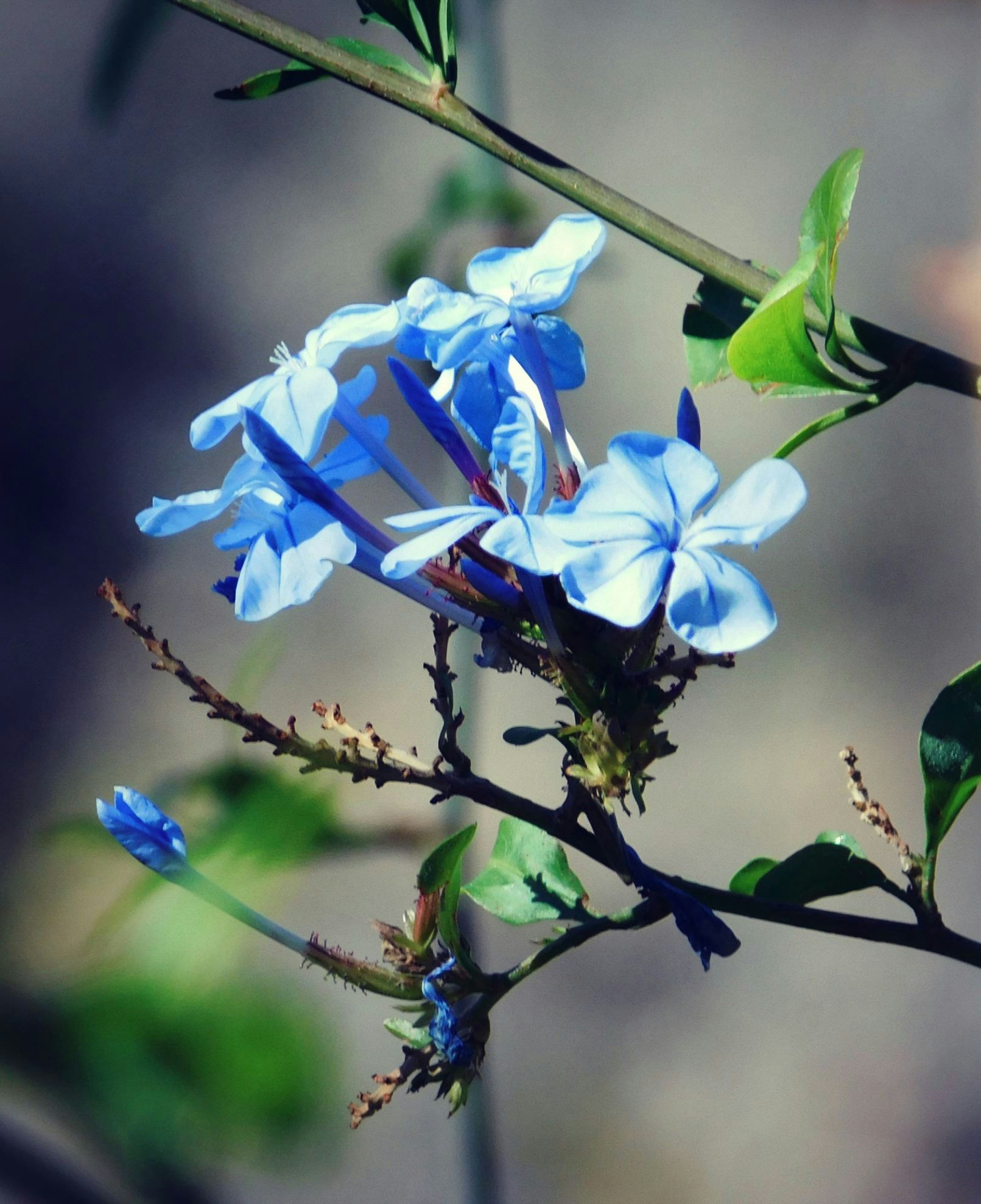 Free Unsplash photo from Jody Wahl