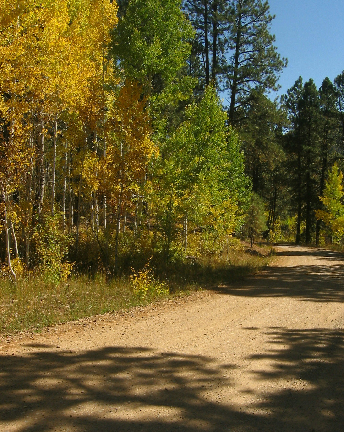 Free Unsplash photo from Jody Wahl