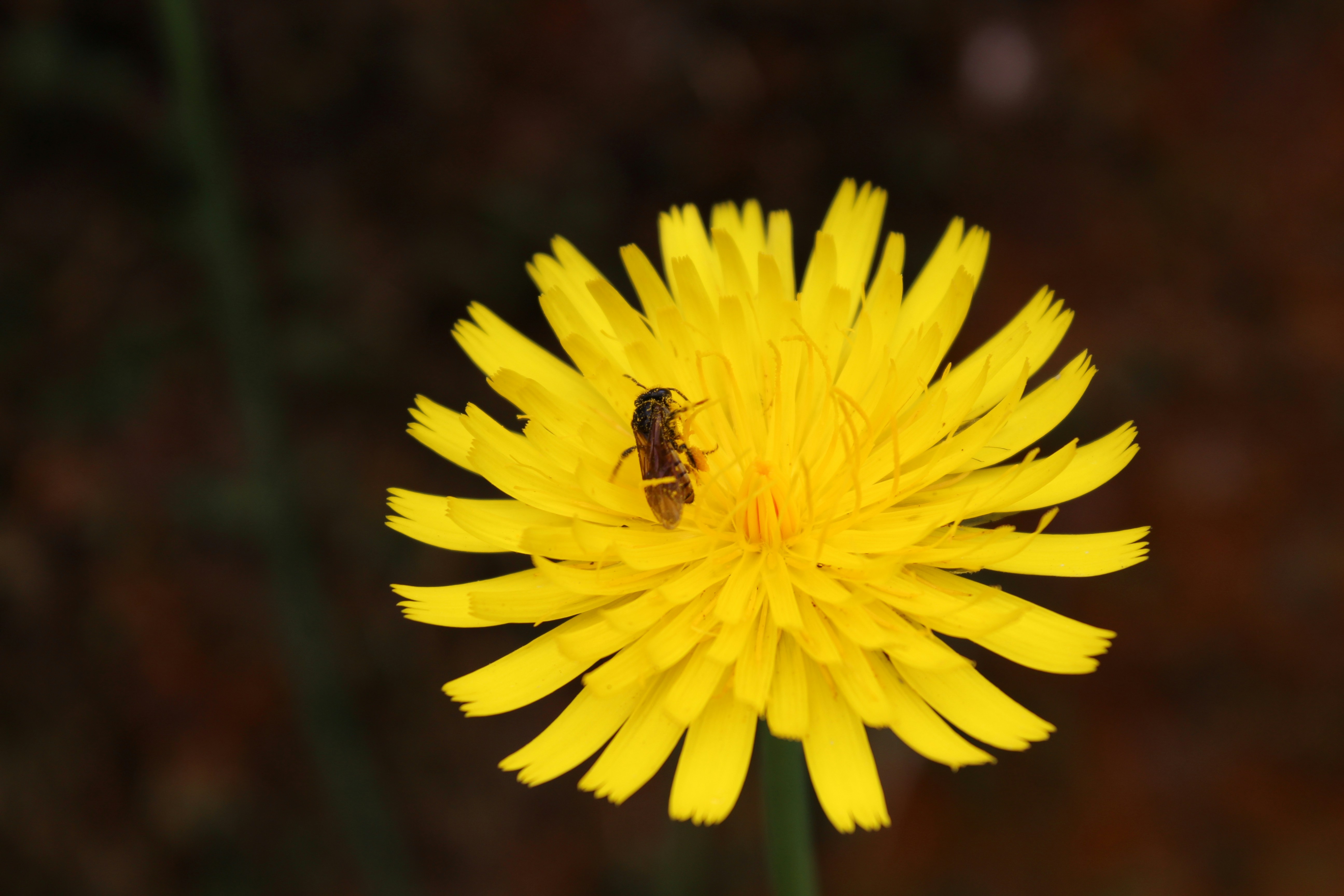 Free Unsplash photo from Jhon David