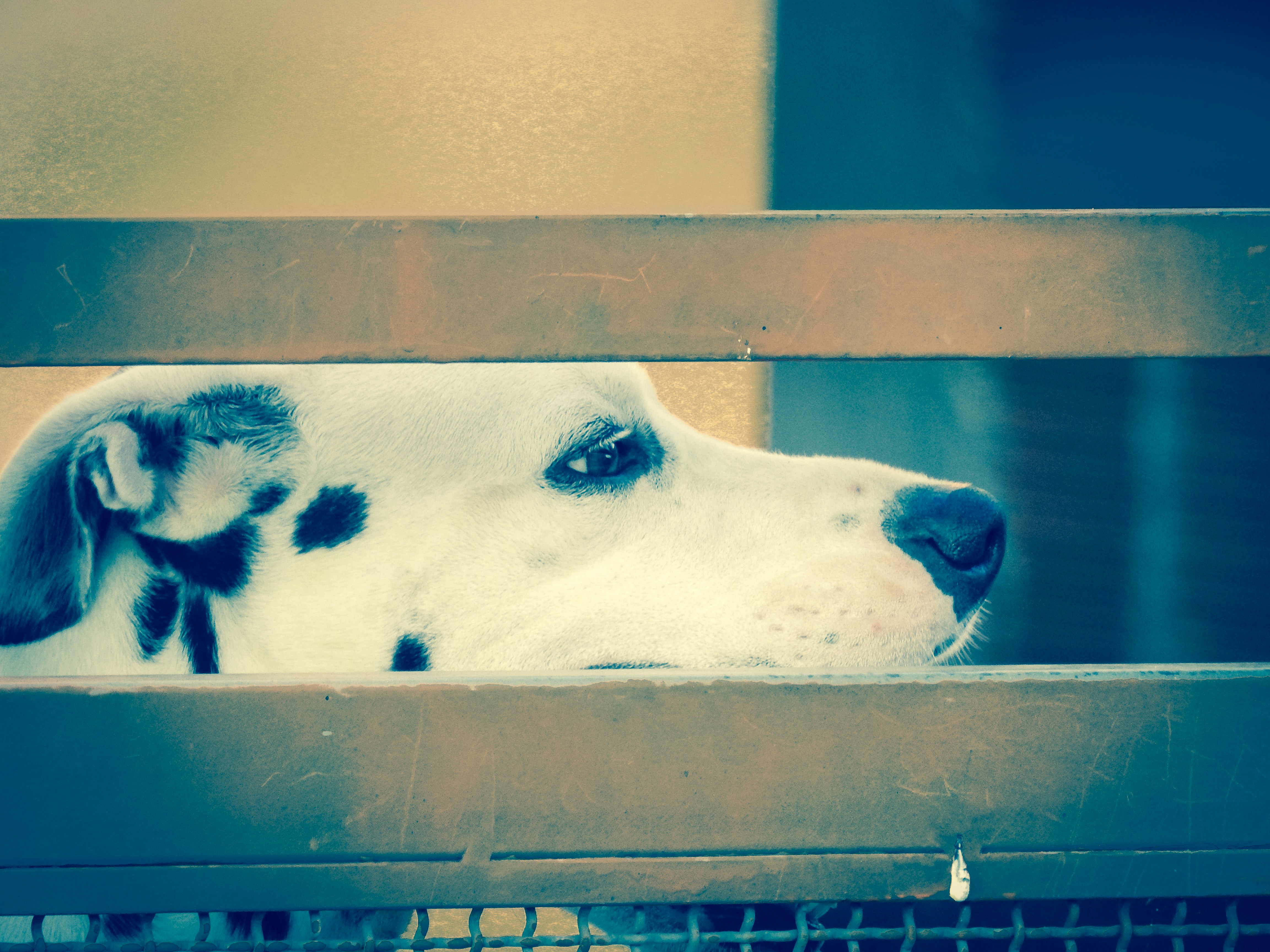 Free Unsplash photo from Rodrigo Lourenço