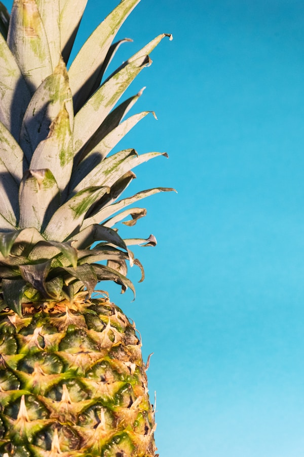 Pineapple fruit