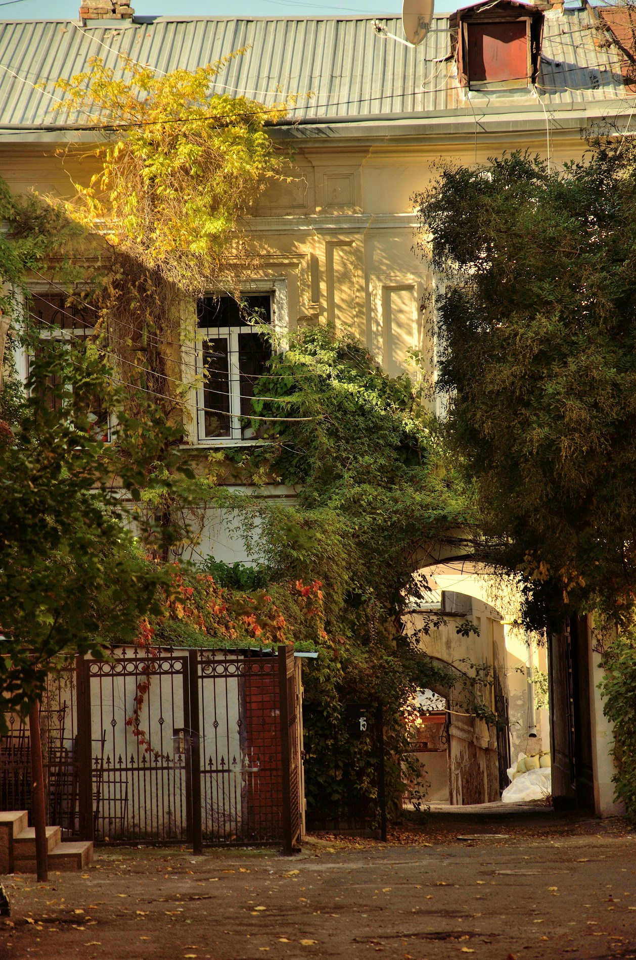 Free Unsplash photo from Sergey Bakhvalov