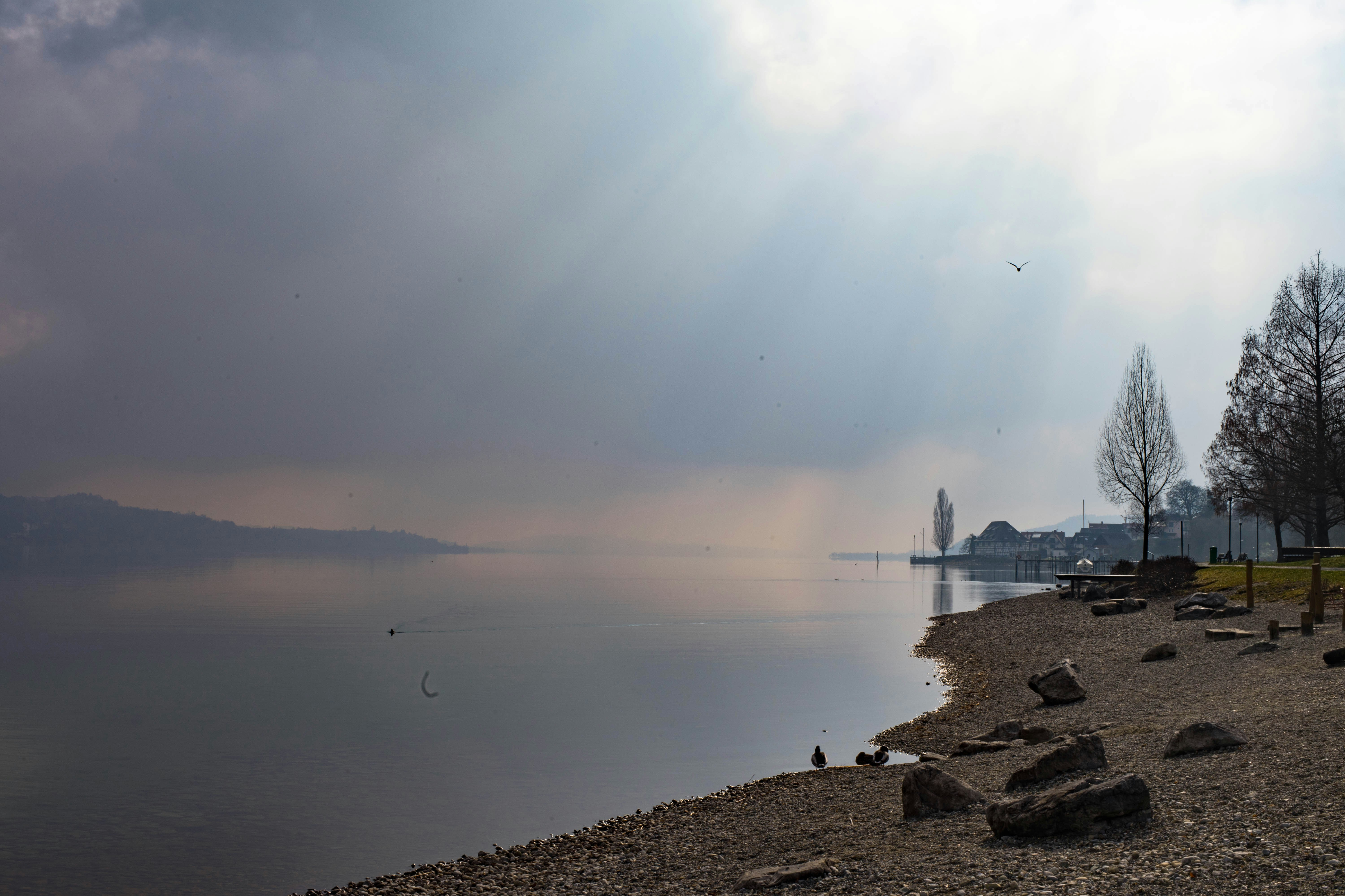 Free Unsplash photo from Martin Ulmer